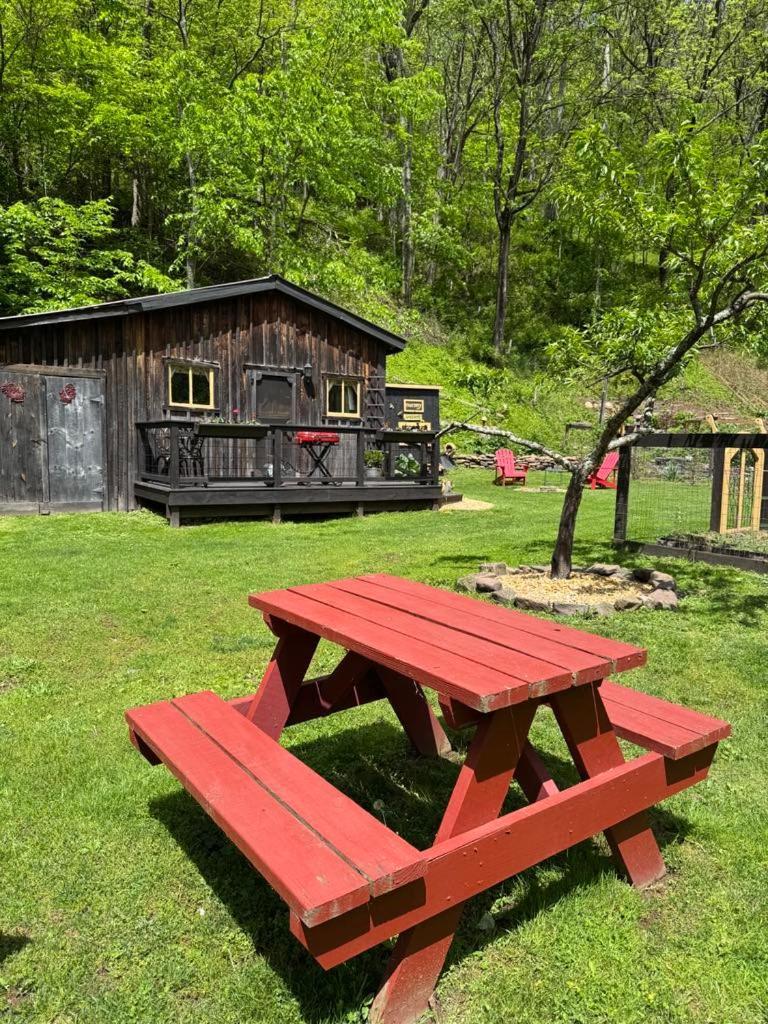 Villa The Renovated Barn At Seneca Rocks Exterior foto